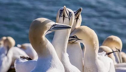 米兰milan|综合体育赛事v5.5.8